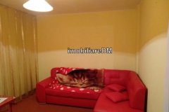 inchiriere apartament IASI imobiliareDM 8ACBDFBCVCXV5522141