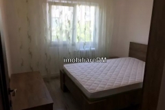 inchiriere-apartament-IASI-imobiliareDM-7NICSHFG8546334