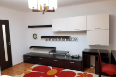 inchiriere-IASI-imobiliareDM3GARGBCVBGF786559424