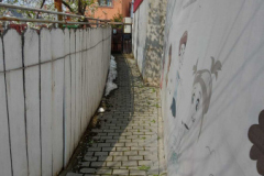 inchiriere-IASI-imobiliareDM11SFAXGNVBN526363997