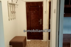 inchiriere-IASI-imobiliareDM2SIRCBCVVN5241569336