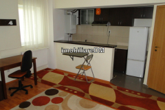 inchiriere-IASI-IMOBILIAREDM-6PACGSDFGSDFGSD55214a