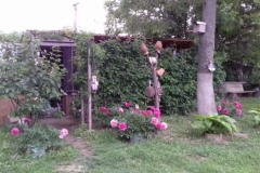 vanzare-casa-OSOI-IASI-imobiliareDM-4OSOJFJJTYYJ63325487