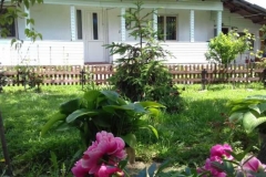 vanzare-casa-OSOI-IASI-imobiliareDM-5OSOJFJJTYYJ63325487